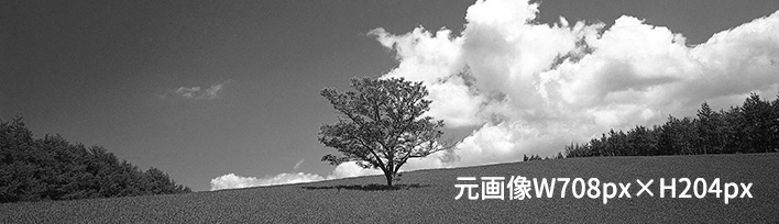 仝②∞画像の説明